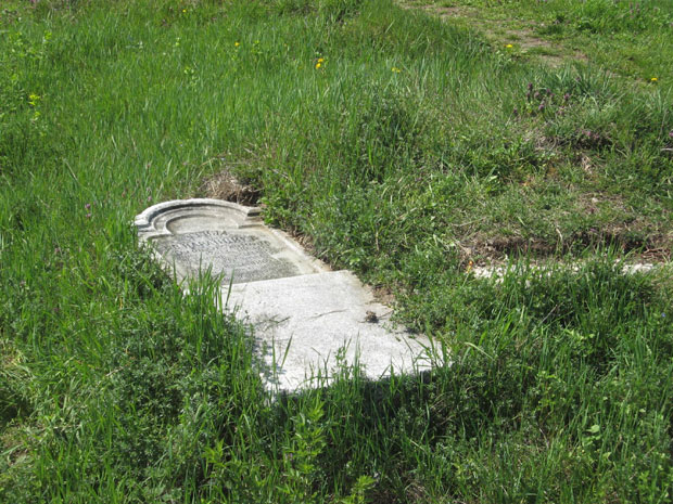 Споменик Наранџићу у корову